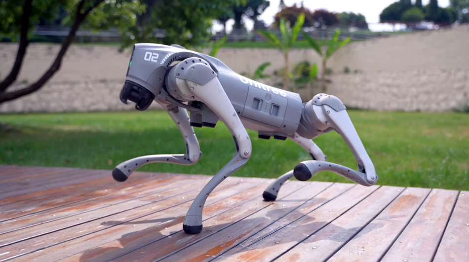 unitree go 2 pro handstand walking